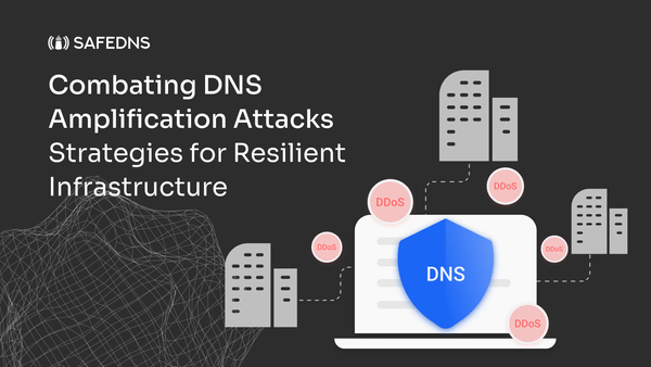Combating DNS Amplification Attacks: Strategies for Resilient Infrastructure