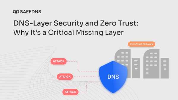 DNS-Layer Security and Zero Trust: Why It’s a Critical Missing Layer